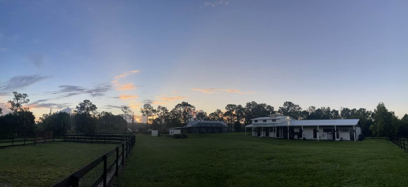 Morning training at Bally Rose Farm