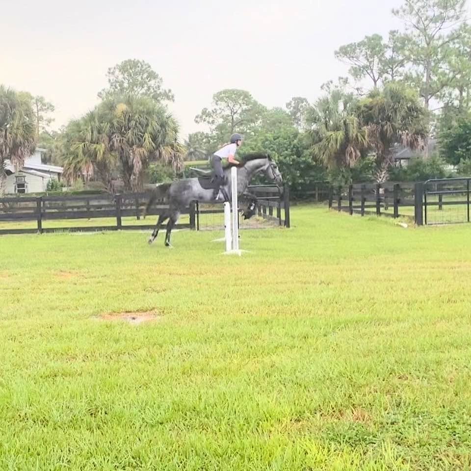 Bally Rose Farm property